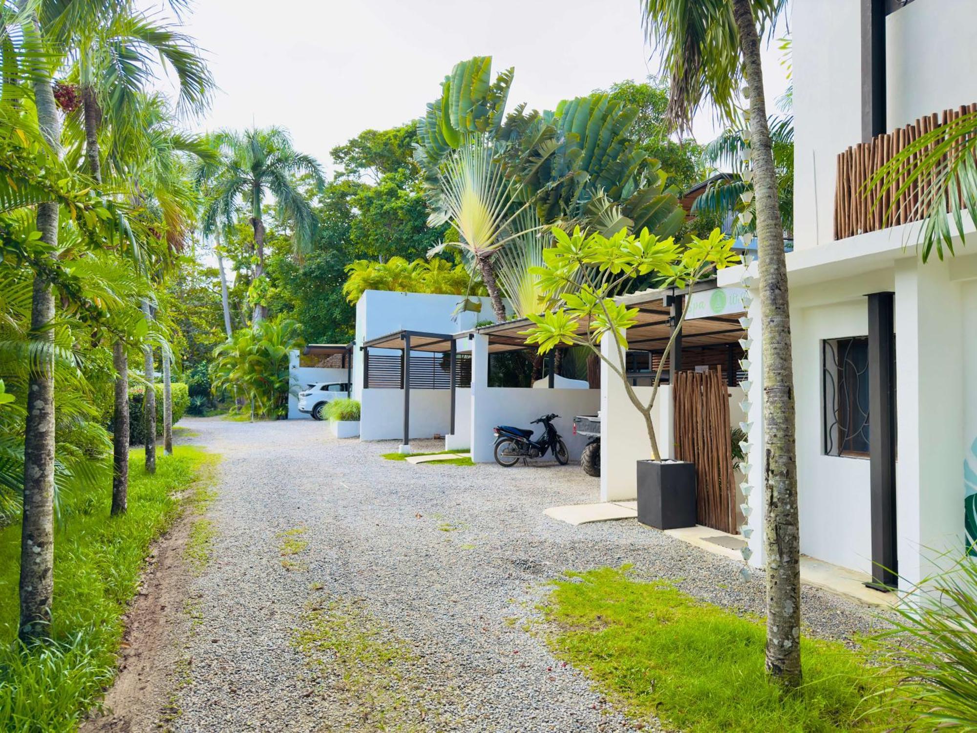 Soul Dream Bonita Apartman Las Terrenas Kültér fotó